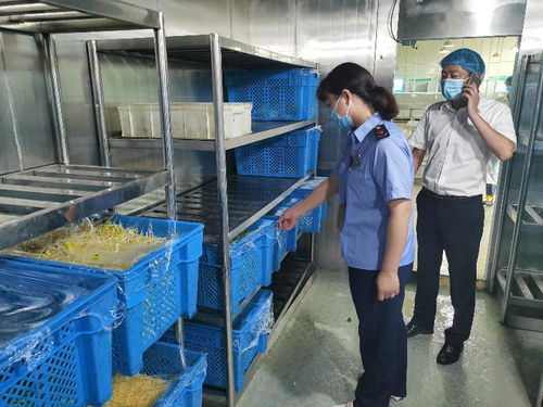 市管局度假區分局全力保障臺風期間食藥和特種設備安全